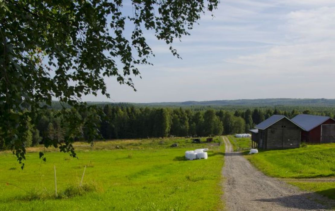 Maisemaa Maukkulanmäelle päin