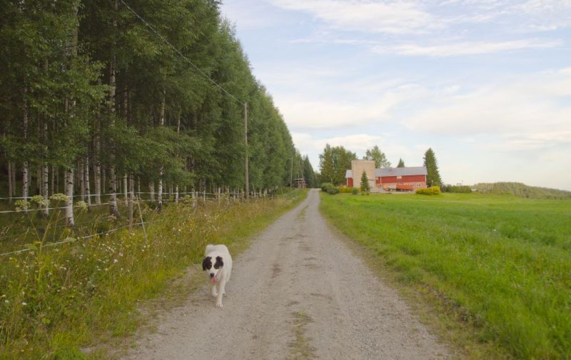Nana kierroksellaan